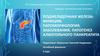 Поджелудочная железа: функции, патоморфология, заболевания. Патогенез алкогольного панкреатита