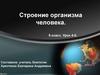 Строение организма человека. Урок 4-5