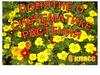 Систематика растений. 6 класс