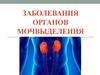 Заболевания органов мочевыделения