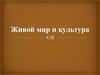 Живой мир и культура