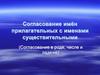 Согласование имён прилагательных с именами существительными