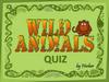 Wild Animals Quiz