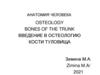 Введение в остеологию кости туловища