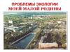 Проблемы экологии моей малой родины
