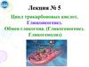 Цикл трикарбоновых кислот. Глюконеогенез. Обмен гликогена. Лекция № 5