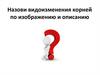 Назови видоизменения корней по изображению и описанию
