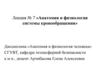 Анатомия и физиология системы кровообращения. Лекция 7