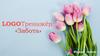 LOGOТренажёр: «Забота»