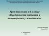 Особенности питания и пищеварения у животных