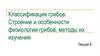 Классификация грибов. Строение и особенности физиологии грибов, методы их изучения