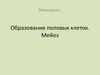 Образование половых клеток. Мейоз