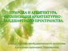 Природа и архитектура. Организация архитектурно - ландшафтного пространства