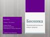 Бионика. Технический взгляд на живую природу
