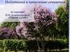 Подготовка к написанию сочинения по картине П.П. Кончаловского «Сирень в окне»