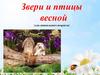 Звери и птицы весной (для дошкольного возраста)