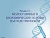 Молекулярные и биохимические основы наследственности
