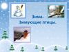 Зима. Зимующие птицы