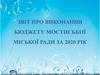 Звіт про виконання бюджету