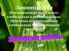 Экологические проблемы: глобальные и региональные. Причины возникновения глобальных экологических проблем