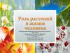 Роль растений в жизни человека. Часть 1