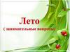 Лето. Занимательные вопросы