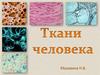 Ткани человека