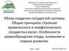 Обзор сердечно-сосудистой системы. Общие принципы строение кровеносного и лимфатического сосудистых русел. Лекция № 25