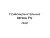 Правоохранительные органы РФ