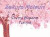 Sakura Matsuri