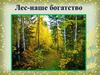 Лес - наше богатство. Какие бывают леса?