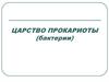 Царство прокариоты (бактерии)
