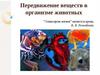 Транспорт веществ у различных групп животных