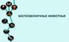 Беспозвоночные животные