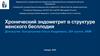 Хронический эндометрит в структуре женского бесплодия