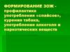 Формирование ЗОЖ-профилактика употребления «спайсов», курения табака, употребления алкоголя и наркотических веществ