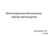 Металлургический комплекс. Чёрная металлургия
