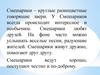 Вопросительные и относительные местоимения