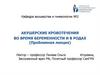 Акушерские кровотечения во время беременности и в родах