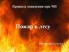 Правила поведения при ЧП. Пожар в лесу