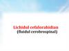 Lichidul cefalorahidian (fluidul cerobrospinal)
