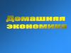 Домашняя экономика