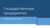 Государственные предприятия