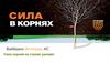 Вайбранс Интеграл, КС. Сила корней на страже урожая!
