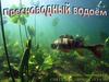 Пресноводный водоём