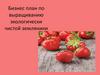 Бизнес-план по выращиванию экологически чистой земляники