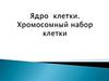 Ядро клетки. Хромосомный набор клетки