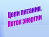 Цепи питания. Поток энергии