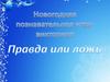 Новогодняя познавательная игра- викторина "Правда или ложь". Для 5-11 классов