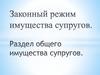 Законный режим имущества супругов. Раздел общего имущества супругов